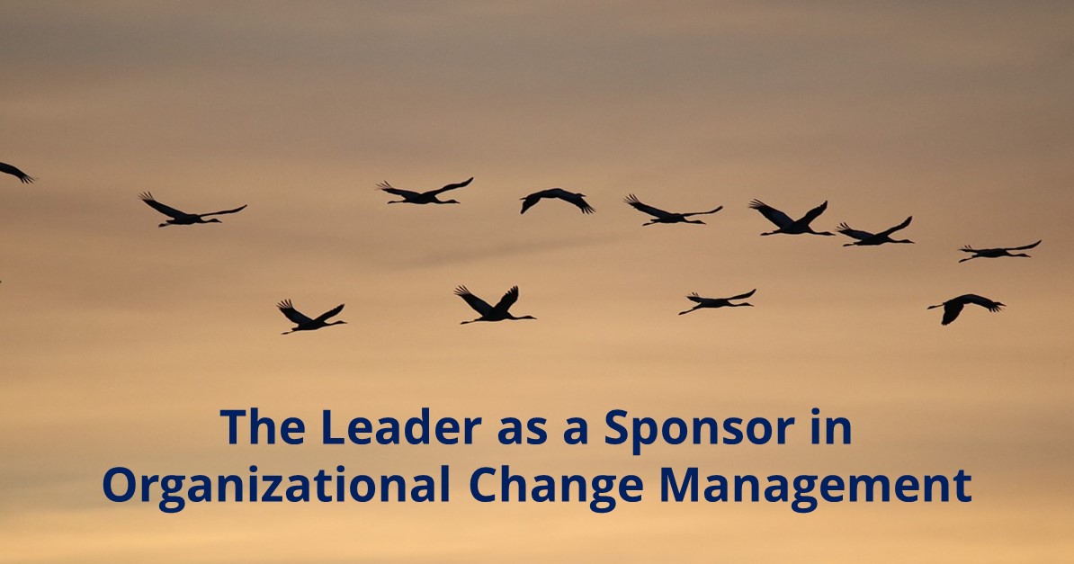 The Leader as a Sponsor in Organizational Change Management